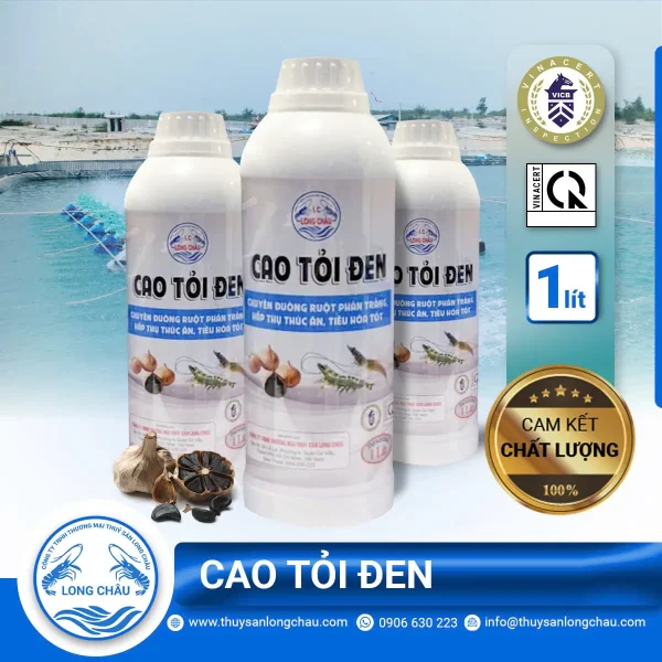 cao tỏi đen dành cho tôm phát triển bởi Thủy Sản Long Châu