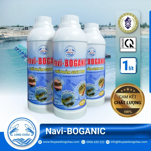 Navi-BOGANIC